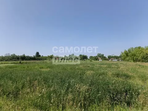 Участок в Курская область, Курский район, Камышинский сельсовет, д. ...