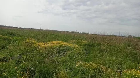Участок в Московская область, Клин городской округ, д. Тархово  (14.16 ...