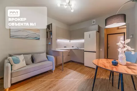 1-к кв. Санкт-Петербург наб. Черной речки, 9 (36.0 м)