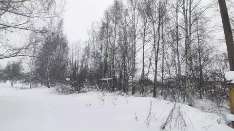 Участок в Московская область, Раменский муниципальный округ, д. ...