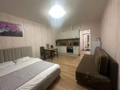 Студия Московская область, Домодедово городской округ, с. Домодедово ...