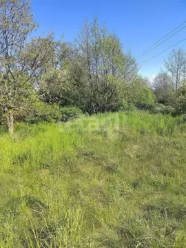 Участок в Калининградская область, Гурьевский муниципальный округ, ...