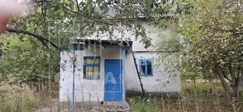 Дом в Воронежская область, Рамонский район, Новоживотинновское с/пос, ...