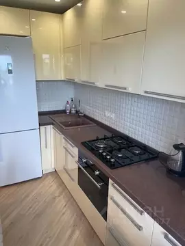 Студия Марий Эл, Йошкар-Ола ул. Димитрова, 57Г (39.0 м)