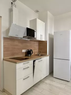 Студия Санкт-Петербург Планерная ул., 97к2 (24.0 м)