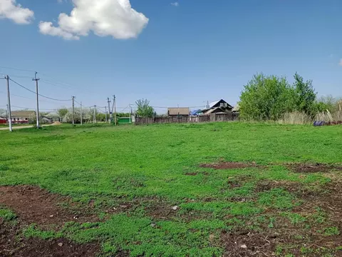 Участок в Саратовская область, Пугачевский район, с. Давыдовка ...