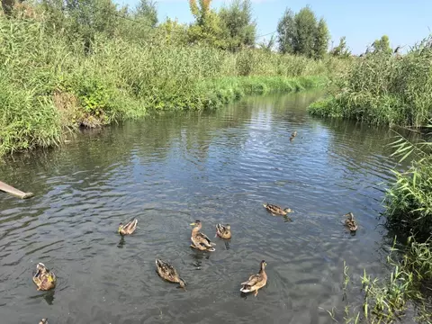 Участок в Саратовская область, Саратов проезд 4-й Песчано-Уметский, 37 ...