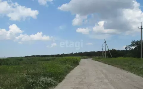 Участок в Крым, Симферопольский район, Перовское с/пос, Дубки 2 массив ...