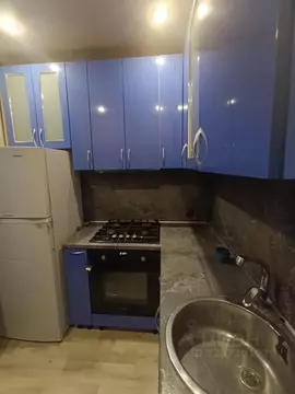 3-к кв. Санкт-Петербург Дачный просп., 24 (41.5 м)