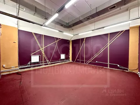 Помещение свободного назначения в Омская область, Омск ул. Степанца, ...