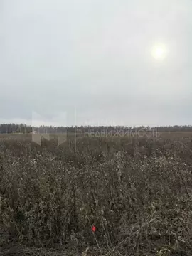 Участок в Тюменская область, Тюменский муниципальный округ, с. ...