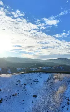 Участок в Алтайский край, Белокуриха Алтайская ул., 82 (239.0 сот.)