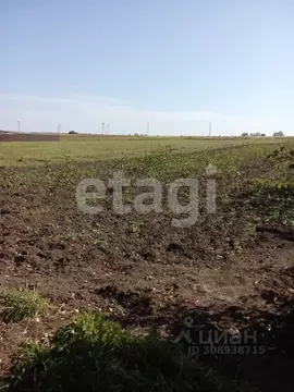 Участок в Брянская область, Брянский район, Мичуринское с/пос, д. ...