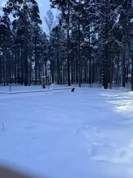 Участок в Богородский городской округ, КП Стулово (10 м)