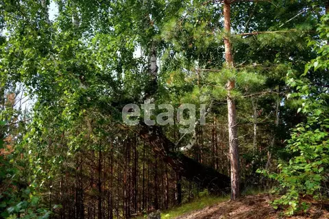 Участок в Челябинская область, Касли ул. Щорса (15.0 сот.)