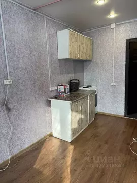 Студия Пермский край, Пермь ул. Богдана Хмельницкого, 58 (16.0 м)