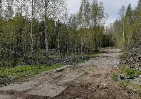 Участок в Тобольск, Красная площадь (10 м)