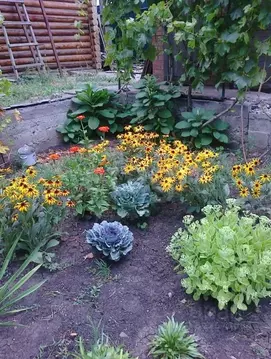 Дом в Ростовская область, Неклиновский район, Новобессергеневское ...