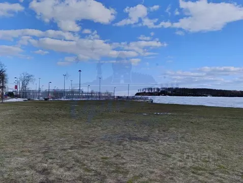 Участок в Нижегородская область, Чкаловск муниципальный округ, д. ...