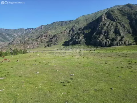 Участок в Республика Алтай, село Онгудай (70 м)