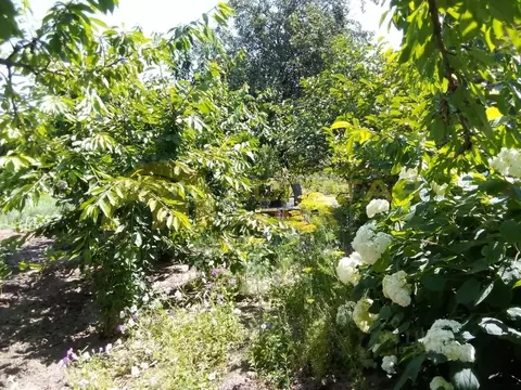 Участок в Краснодарский край, Темрюкский район, Старотитаровское ...