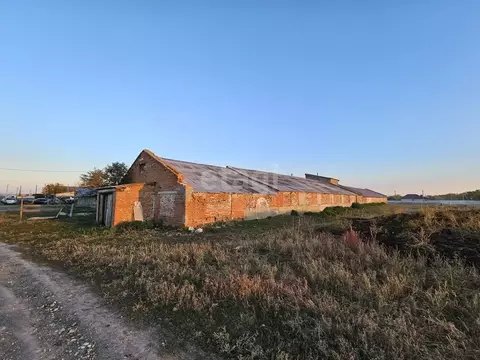 Склад в Саратовская область, Воскресенский район, Елшанское ...