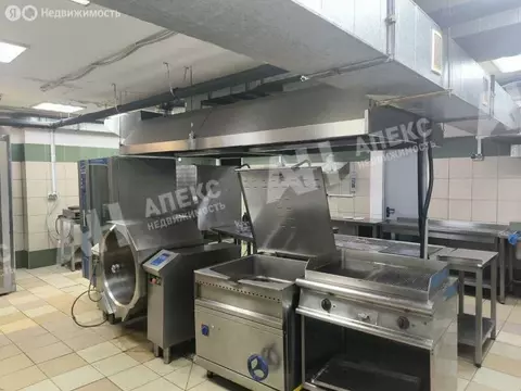 Производственное помещение (987 м)