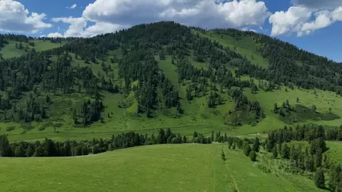 Участок в Алтай, Чемальский район, Элекмонарское с/пос  (13.6 сот.)