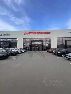 Торговая площадь в Воронежская область, Воронеж ул. Остужева, 45/2 ...