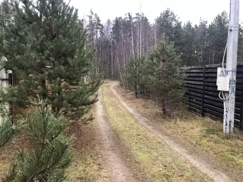 Участок в Псковская область, Печорский муниципальный округ, д. Кривск  ...