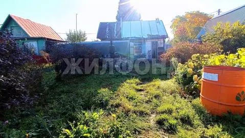 Дом в Новосибирская область, Новосибирский район, Кудряшовский ...