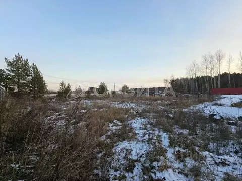 Участок в Тюменская область, Тюменский муниципальный округ, с. ...