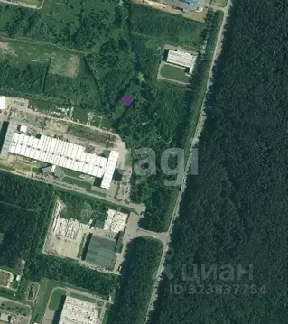 Участок в Калужская область, Обнинск Пульс СНТ, ул. Лесная (6.0 сот.)