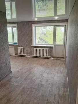 2-к кв. Амурская область, с. Ивановка ул. Строительная, 33 (45.5 м)