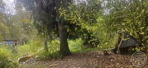 Участок в Ленинградская область, Всеволожск Сергиевская ул. (15.0 ...