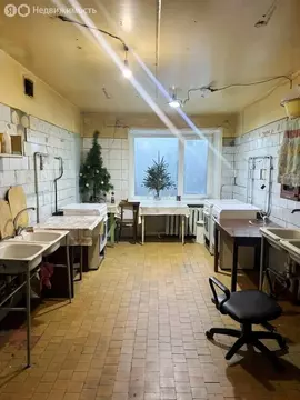 1к в 4-комнатной квартире (18.5 м)