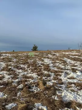 Участок в Красноярский край, Красноярск Пригорная ул. (8.0 сот.)