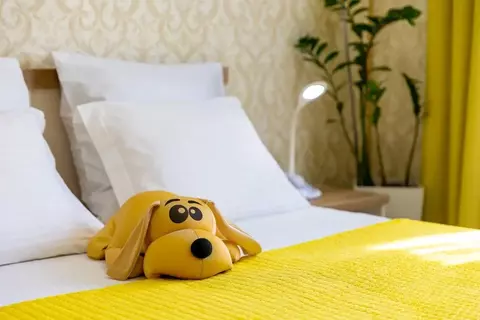 1-к кв. Костромская область, Кострома Мясницкая ул., 75В (50.0 м)