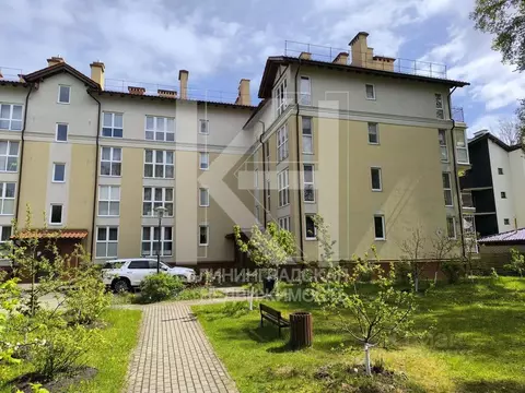 2-к кв. Калининградская область, Светлогорск ул. Тихомирова, 3 (54.4 ...