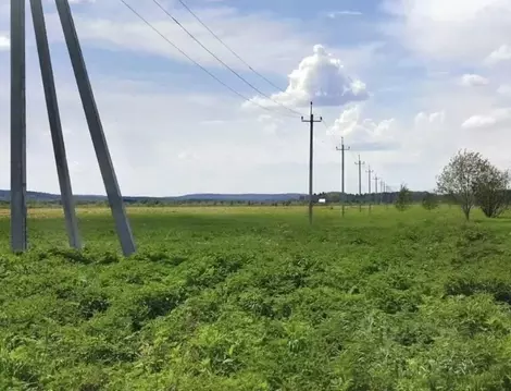 Участок в Московская область, Дмитровский муниципальный округ, д. ...