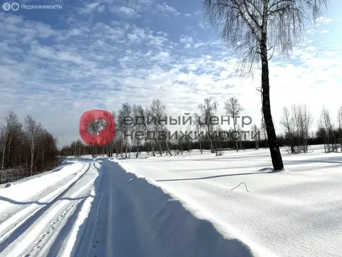 Участок в Тюмень, территория СОСН Берёзка-3 (5 м)