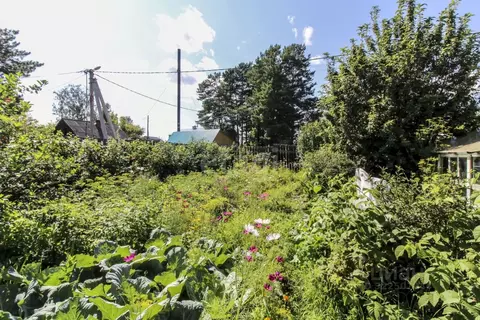 Дом в Тюменская область, с. Нижняя Тавда ул. Школа-Интернат (60 м)