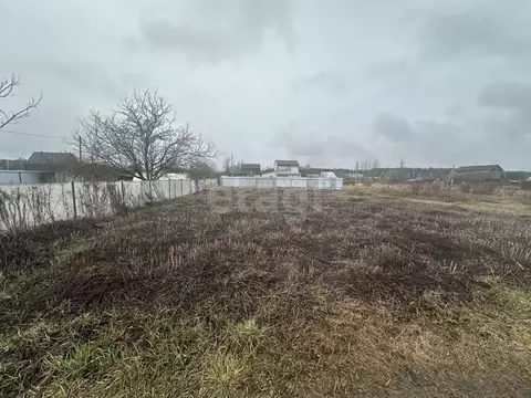 Участок в Брянская область, Брянский район, Новодарковичское с/пос, ...