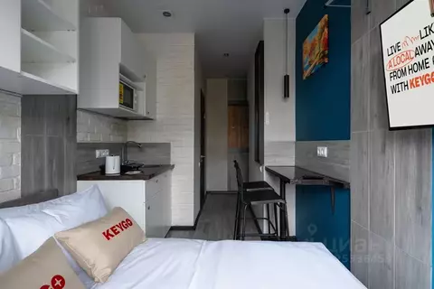 Студия Москва Электрический пер., 3/10С1 (10.0 м)