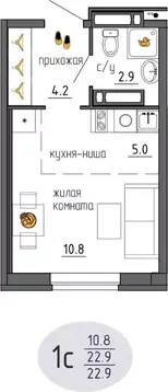 Студия Пермский край, Пермь Ижевская ул., 38 (22.9 м)