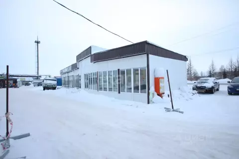 Склад в Ямало-Ненецкий АО, Новый Уренгой Таежная ул., 204/12 (130 м)