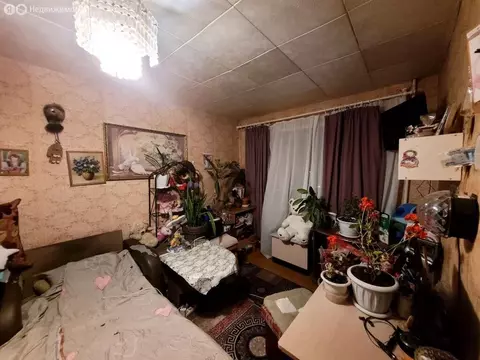 1-комнатная квартира: Бор, улица Ленина, 144 (29 м)