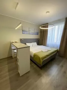 Студия Санкт-Петербург Витебский просп., 101к1 (23.0 м)