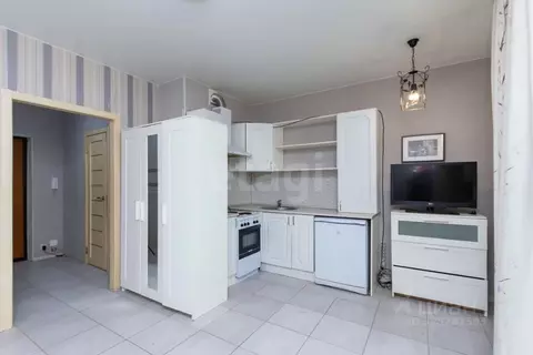 Студия Тюменская область, Тюмень ул. Беляева, 33к1 (28.7 м)