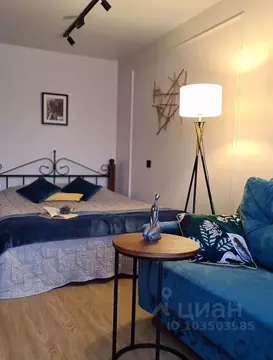 Студия Ярославская область, Переславль-Залесский ул. Свободы, 28 (32.0 ...